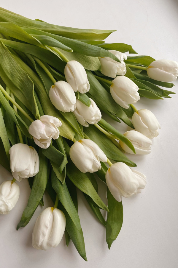 50+ Cute White Flower Aesthetic Wallpaper For Your Phone!